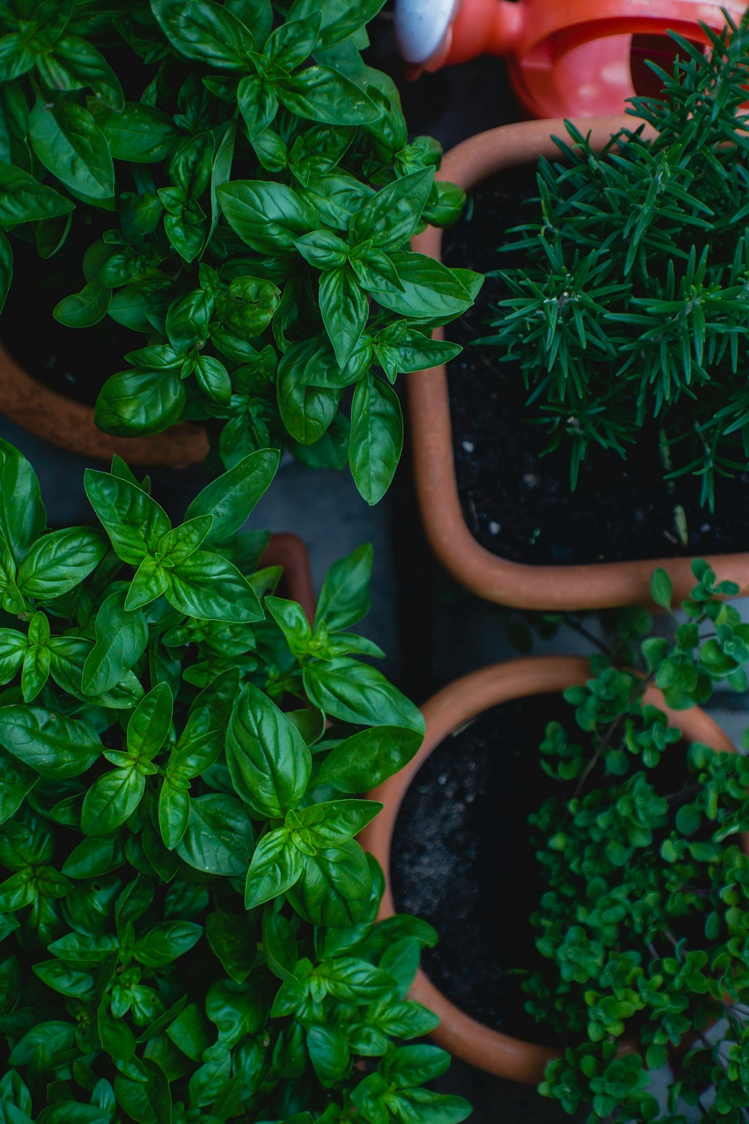 Mindful Living In A Modern World
